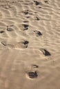 Human trace on sand Royalty Free Stock Photo