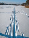 Human traces and animals at frozen river Royalty Free Stock Photo