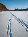 Human traces and animals at frozen river Royalty Free Stock Photo