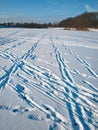 Human traces and animals at frozen river Royalty Free Stock Photo