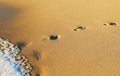 Human traces on the beach Royalty Free Stock Photo