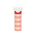 Human trachea airway tube medical diagram icon