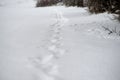 Human tracks in a fresh snow. Royalty Free Stock Photo