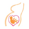 Human unborn baby fetus on mom belly womb. Cute grunge hand-drawn illustration. Cartoon doodle style. Colorful illustration
