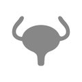 Human urinary bladder gray icon. Healthy organ symbol
