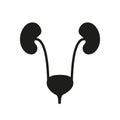 Human urinary bladder system with kidneys, ureters and urethra flat vector icon for health apps and websites