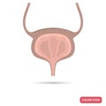 Human urine bladder color flat icon