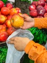 Human using bioplastic bag when buying apples at grocery store
