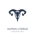 Human Uterus icon. Trendy flat vector Human Uterus icon on white Royalty Free Stock Photo