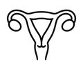 Uterus line icon