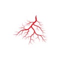 Human veins and arteries illustration