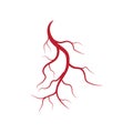 Human veins and arteries illustration