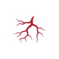 Human veins and arteries illustration