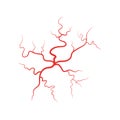 Human veins red blood vessel vector illustration
