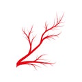 Eye veins, human red blood vessels, blood system. Vector illustration isolated on white background