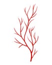 Human veins. Red silhouette vessel, arteries or capillaries on white background. Concept anatomy element for medical