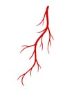 Human veins. Red silhouette vessel, arteries or capillaries on white background. Concept anatomy element for medical