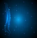 Human vertebral column abstract blue background Royalty Free Stock Photo