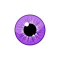 Human violet eyeball iris pupil isolated on white background. Eye