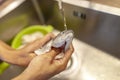 Human washes a fresh fish under water