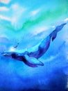 Human and whale diving swimming underwater together watercolor