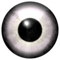 Human white eyeball with black round