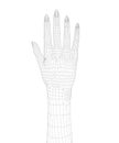 Human wireframe hand on white background.