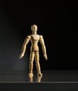 Human wood manikin Royalty Free Stock Photo