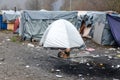 A humanitarian catastrophe in Refugee And Migrants Camp In Bosnia And Herzegovina. The European migrant crisis. Balkan Route. Tent