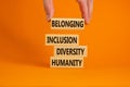 Humanity, diversity, inclusion, belonging symbol. Wooden blocks with words humanity, diversity, inclusion, belonging on beautiful