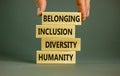 Humanity, diversity, inclusion, belonging symbol. Wooden blocks with words humanity, diversity, inclusion, belonging on beautiful