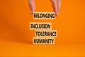 Humanity, tolerance, inclusion, belonging symbol. Wooden blocks with words humanity, tolerance, inclusion, belonging on beautiful Royalty Free Stock Photo