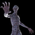 a humanoid alien