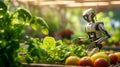 humanoid robot android farmer helps grow plants, vegetable garden of the future, futuristic food growing technology, agriculture