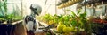 humanoid robot android farmer helps grow plants, vegetable garden of the future, futuristic food growing technology, agriculture