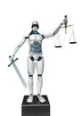 Humanoid Robot Justitia