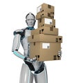 Humanoid Robot Shipping Carton