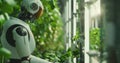 A humanoid robot working in an indoor farm