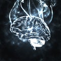 Humans brain in the smoke Royalty Free Stock Photo