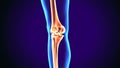 3d illustration of human body knee joint