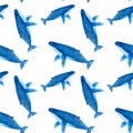 Humback whale. Seamless watercolor pattern Royalty Free Stock Photo