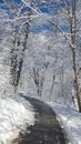 Humber River trail in winter time Royalty Free Stock Photo