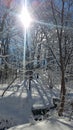 Humber River trail in winter time Royalty Free Stock Photo