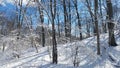 Humber River trail in winter time Royalty Free Stock Photo