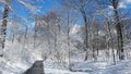 Humber River trail in winter time Royalty Free Stock Photo