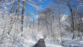 Humber River trail in winter time Royalty Free Stock Photo