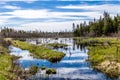 The Humber River wanders through the park. Sir Richard Squires Provincial Park Newfoundland Canada Royalty Free Stock Photo