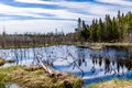 The Humber River wanders through the park. Sir Richard Squires Provincial Park Newfoundland Canada Royalty Free Stock Photo