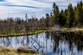 The Humber River wanders through the park. Sir Richard Squires Provincial Park Newfoundland Canada Royalty Free Stock Photo