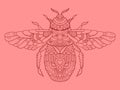 Humble-bee color drawing vector illustration